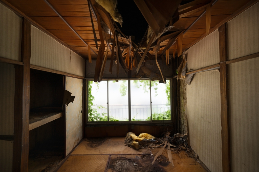 haunted-house-cluttered-interior-background